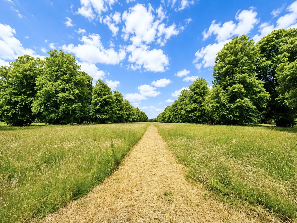 Aspen Road